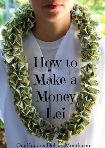 money lei